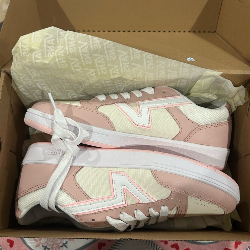 Vans Lowland 2.0 new in box retro 80’s look